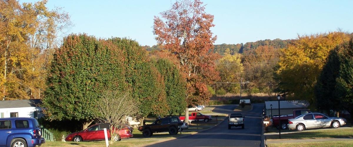 Park View